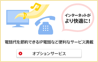 インターネットがより快適に！ 電話代を節約できるIP電話など便利なサービス満載 オプションサービス