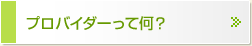 プロバイダーって何？