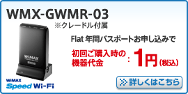 WMX-GWMR-03 ※クレードル付属　詳しくはこちら