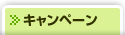 キャンペーン