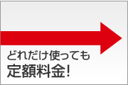 どれだけ使っても定額料金！