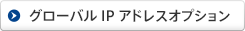 グローバルIPアドレスオプション