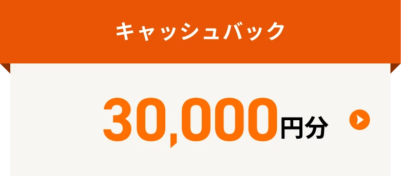 キャッシュバック 30,000円分