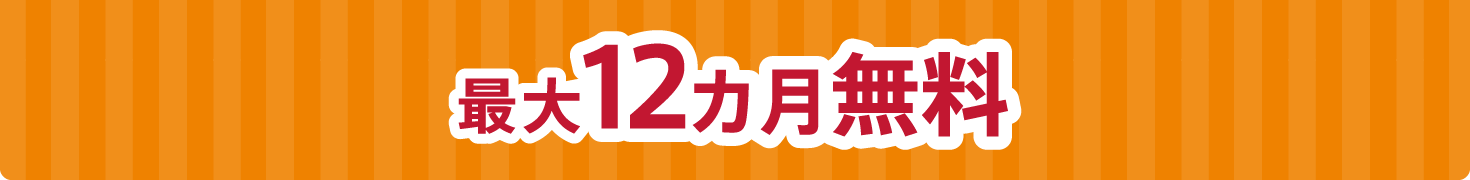 最大12ヶ月無料