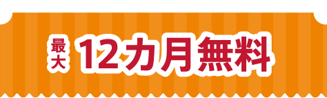 最大12カ月無料