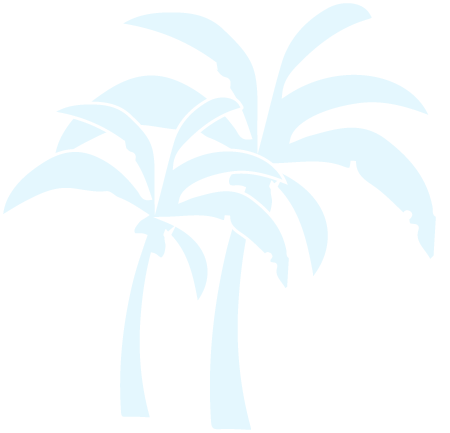 ヤシ